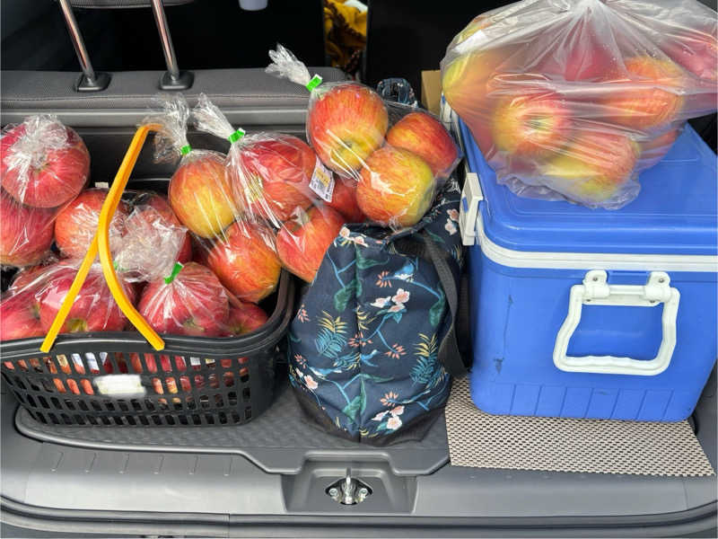 つこつこさんのホテルテトラリゾート鶴岡のサ活写真