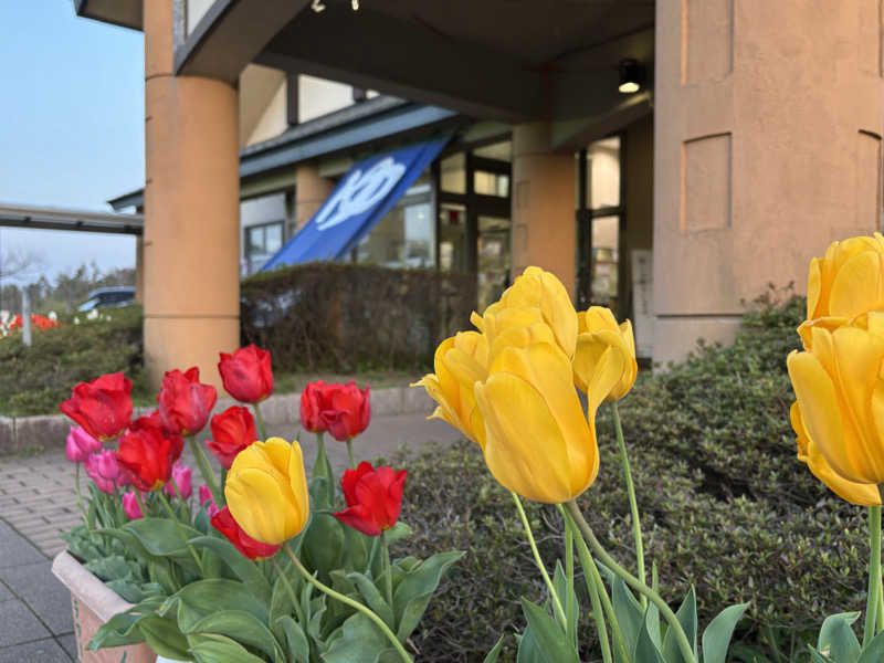 つこつこさんの深層湯温泉 紫雲の郷のサ活写真