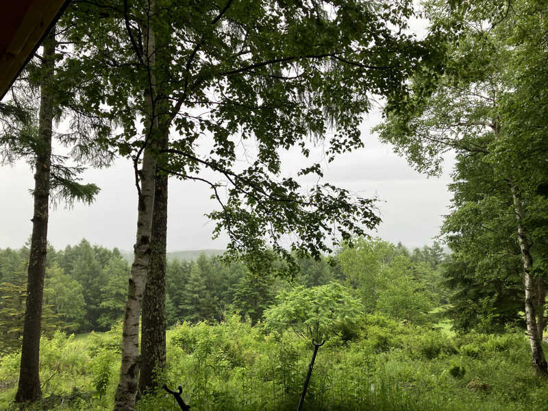 原人さんのSAUNA TEN            "Birch and cloud forest"のサ活写真