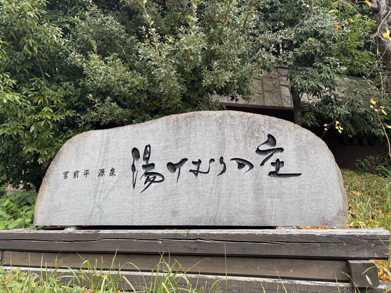 まつりさんの宮前平源泉 湯けむりの庄のサ活写真