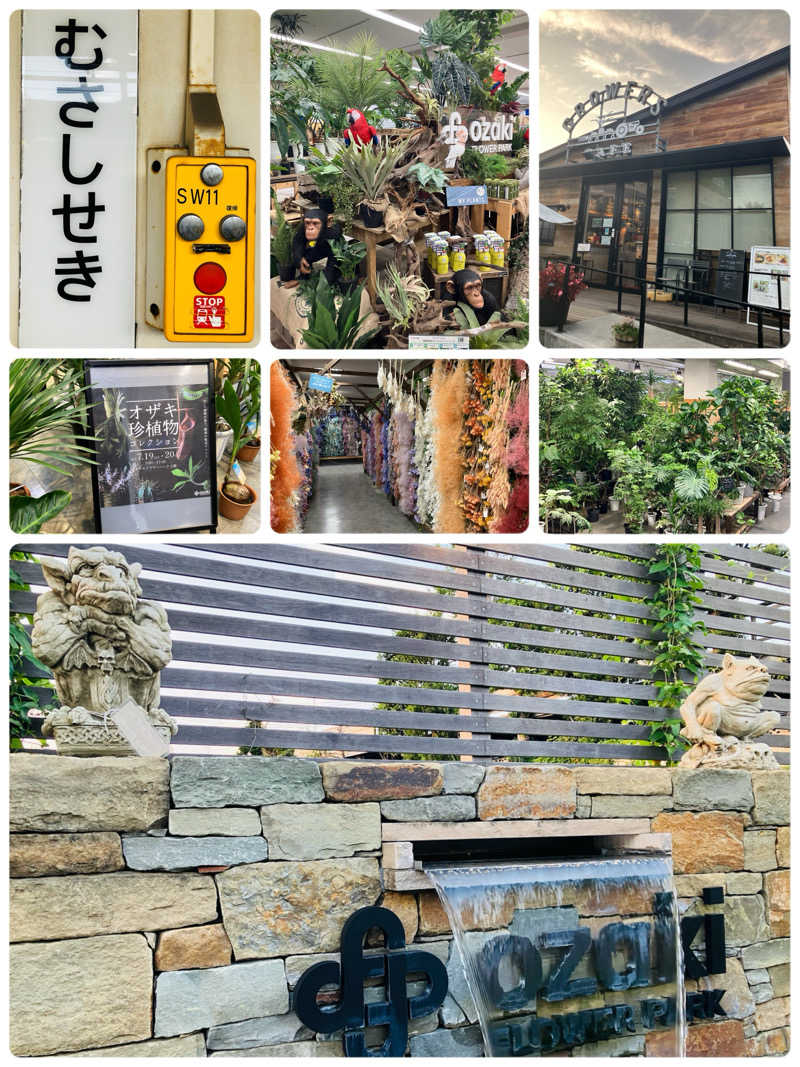 ゆげさんの練馬湯遊邸 松の湯のサ活写真