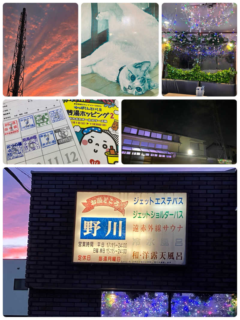 ゆげさんのお湯どころ野川のサ活写真