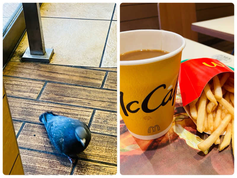 ゆげさんの若松湯のサ活写真