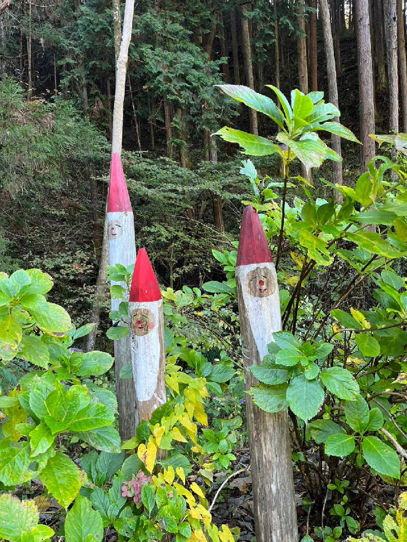 くーちゃんさんの深澤渓 自然人村のサ活写真