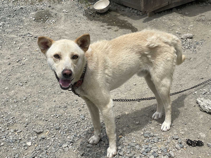 サカスさんのトトノウバイのサ活写真