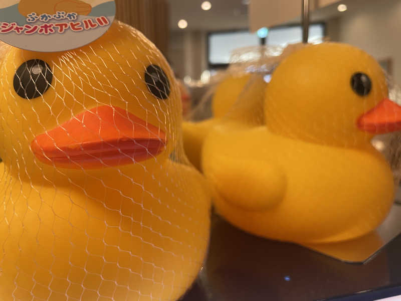 サカスさんの旭川高砂台 万葉の湯のサ活写真