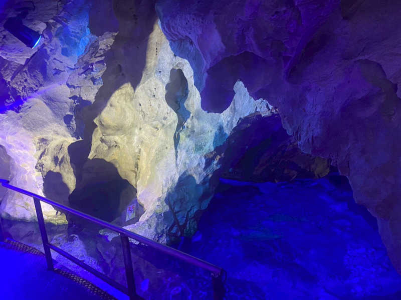 たくたろうさんの稲積水中鍾乳洞のサ活写真