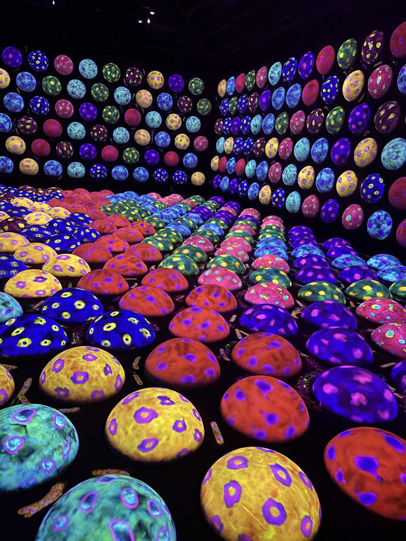 りこ　♨️❤️さんの五香湯のサ活写真