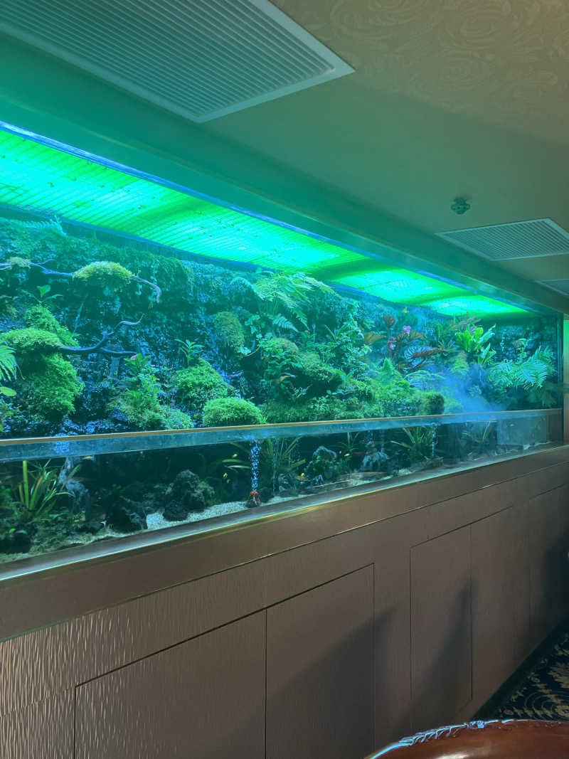 hittiさんの天龍三温暖のサ活写真