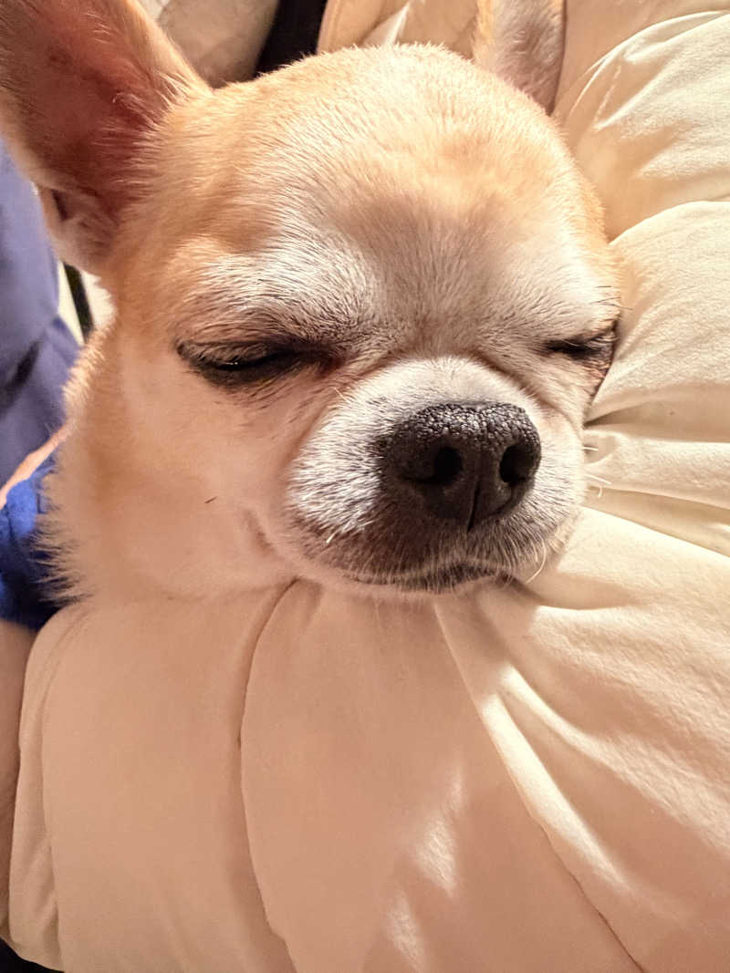 はぎや〜さんの野岩SAUNAのサ活写真