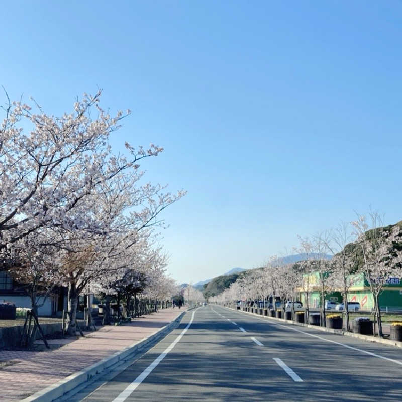 あきこさんの道の駅 おおとう桜街道 さくら館のサ活写真