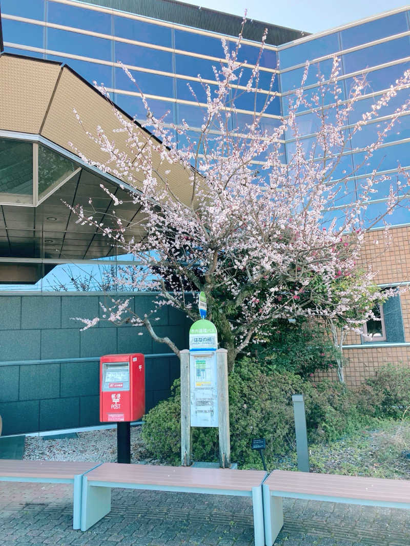 あきこさんの日田温泉 ととの湯(はなの樹 RIVER TERRACE)のサ活写真