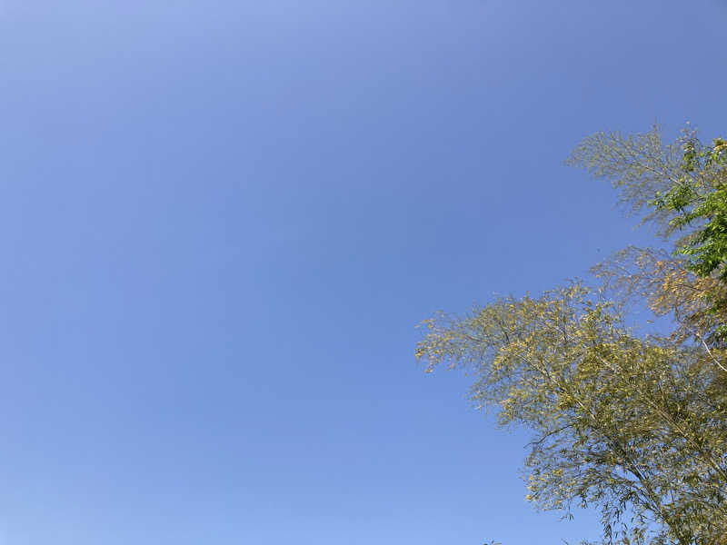 あきこさんの体験型サウナ Uのサ活写真
