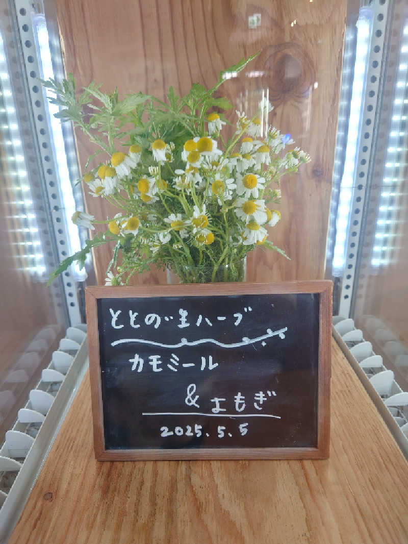 知っているのか？雷電！さんの各務原 恵みの湯のサ活写真
