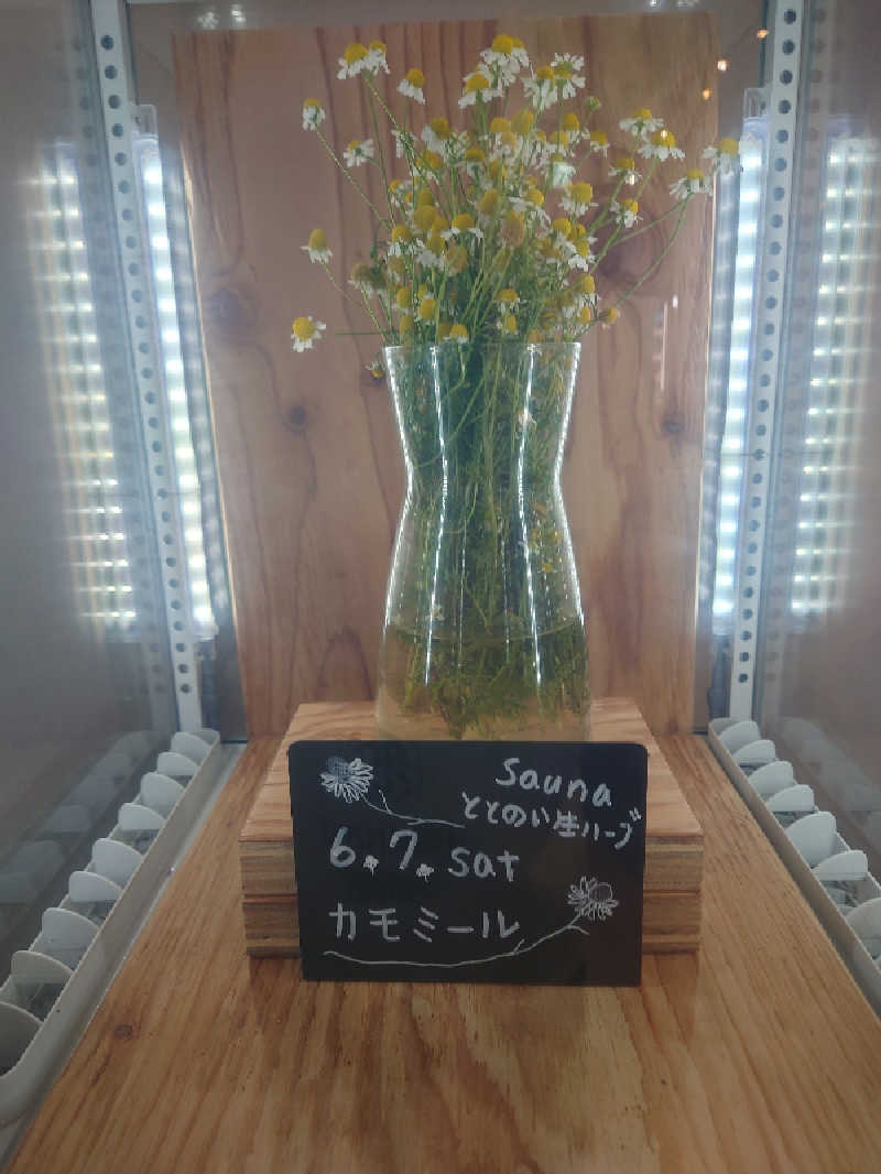 知っているのか？雷電！さんの各務原 恵みの湯のサ活写真