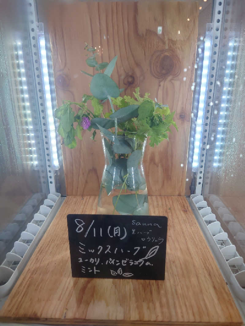 知っているのか？雷電！さんの岐阜各務原 恵みの湯のサ活写真