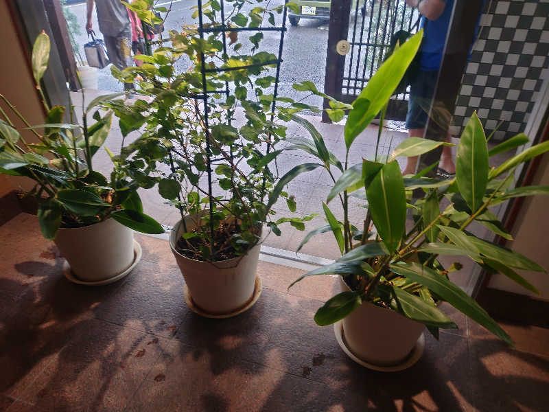 知っているのか？雷電！さんの岐阜各務原 恵みの湯のサ活写真