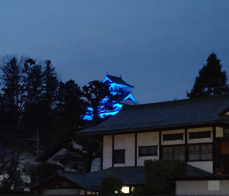 すず姉さんさんのステイインホテル材木栄屋のサ活写真