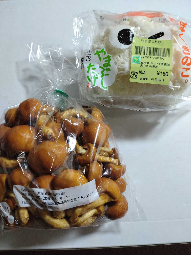 すず姉さんさんのステイインホテル材木栄屋のサ活写真