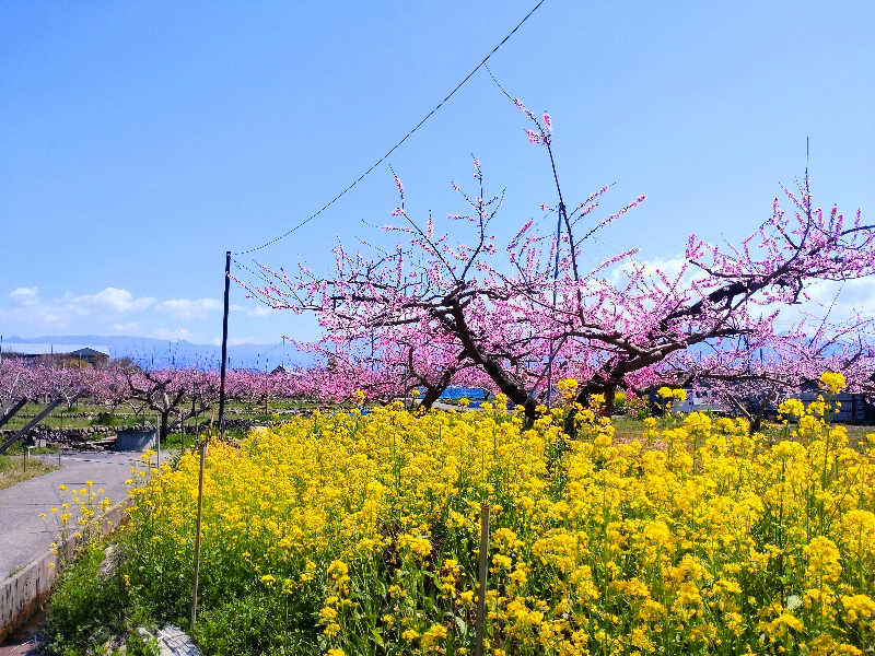 すず姉さんさんの正徳寺温泉初花のサ活写真