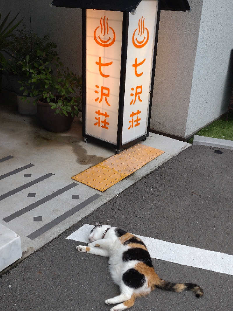 すず姉さんさんの七沢荘のサ活写真