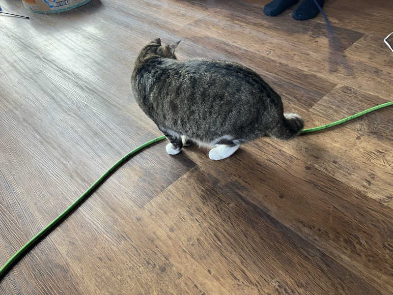 すけぽんさんのヌルヌル有田温泉のサ活写真