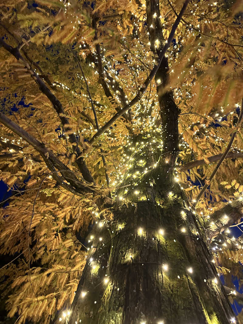 のあまるさんの埼玉スポーツセンター天然温泉のサ活写真