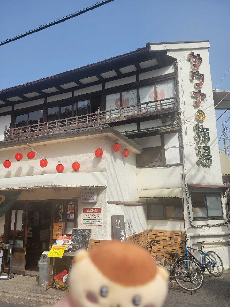 AKNさんのサウナの梅湯のサ活写真