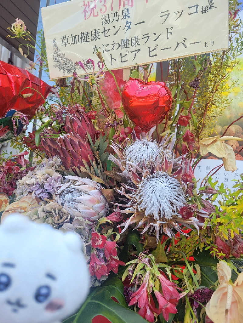 AKNさんの湯乃泉 草加健康センターのサ活写真