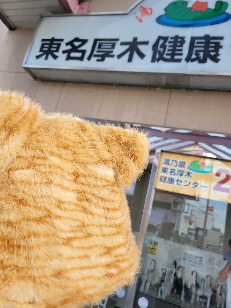 AKNさんの湯乃泉 東名厚木健康センターのサ活写真