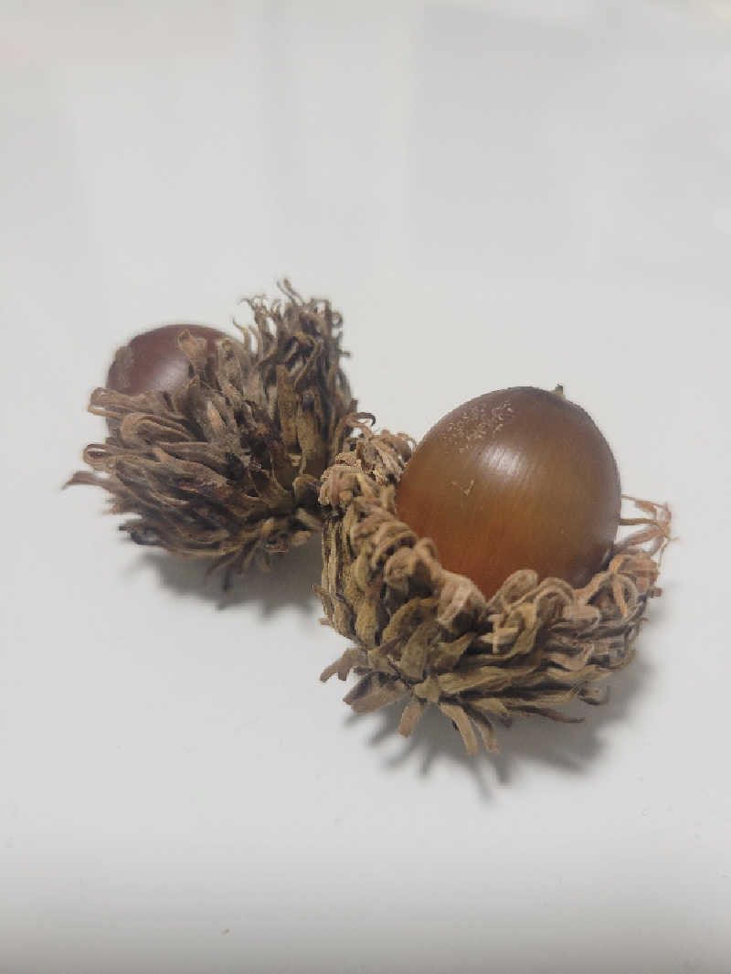 AKNさんのOYUGIWA海老名のサ活写真