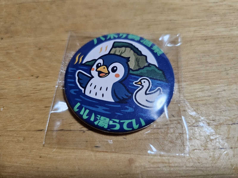 メッチモウテさんのいい湯らていのサ活写真