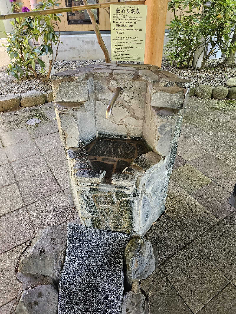 メッチモウテさんのごまどう 湯っ多里館のサ活写真