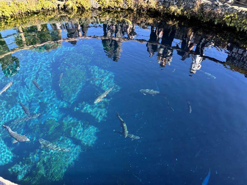 さうなっこさんの河口湖 ホテル 桜庵のサ活写真