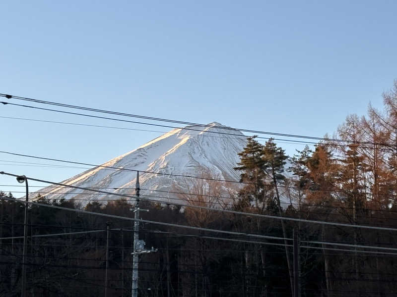 さうなっこさんの河口湖 ホテル 桜庵のサ活写真