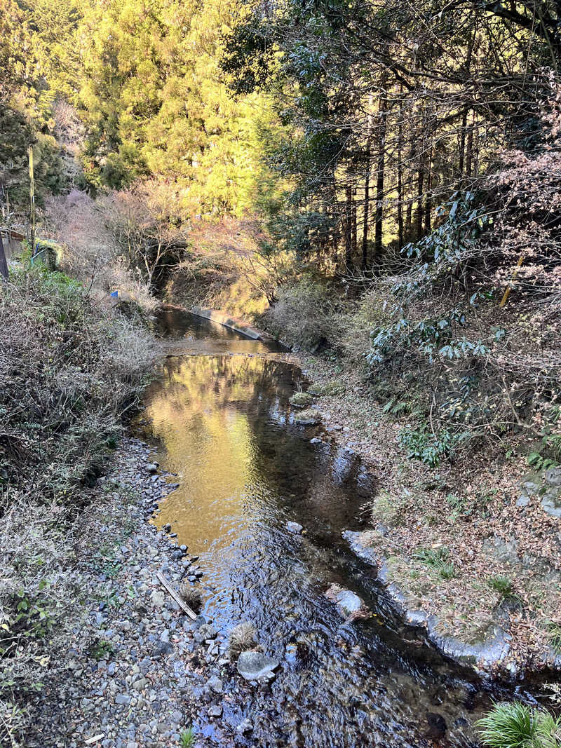 ぶる子さんの生涯青春の湯 つるつる温泉のサ活写真