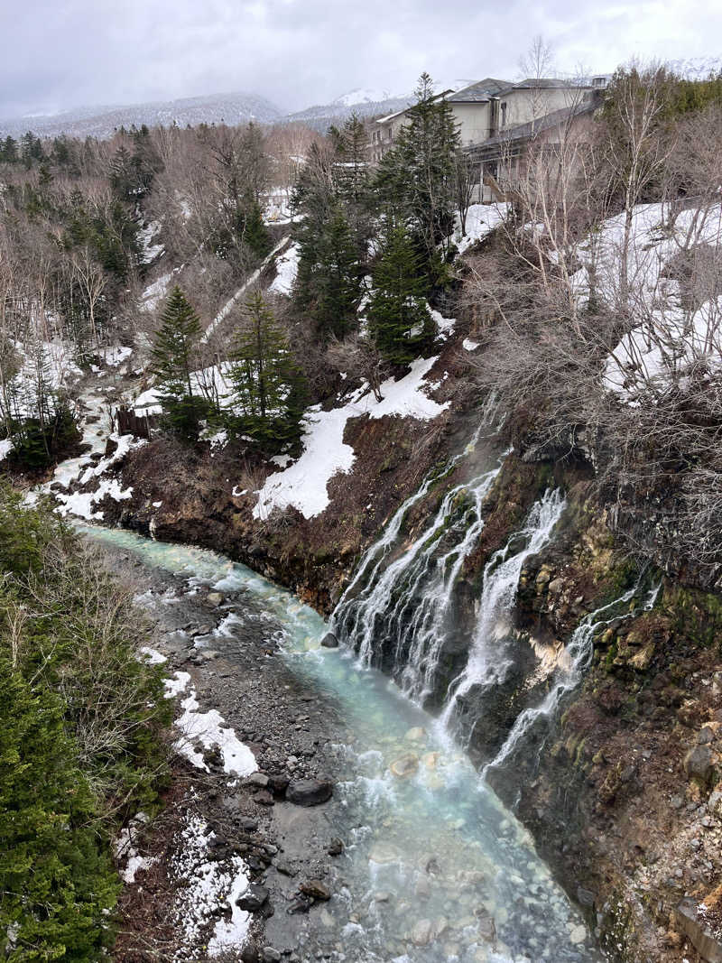 ぶる子さんの森の雫 RIN(旧 大雪山白金観光ホテル)のサ活写真