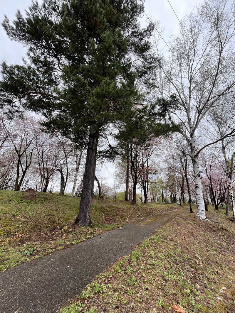 ぶる子さんの天然温泉みなぴりかの湯(ホテルWBFグランデ旭川)のサ活写真