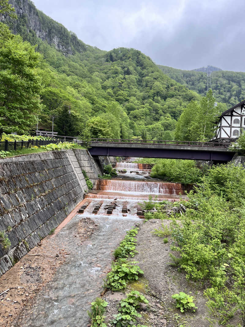 ぶる子さんの湯元 銀泉閣のサ活写真
