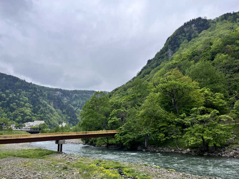 ぶる子さんの湯元 銀泉閣のサ活写真
