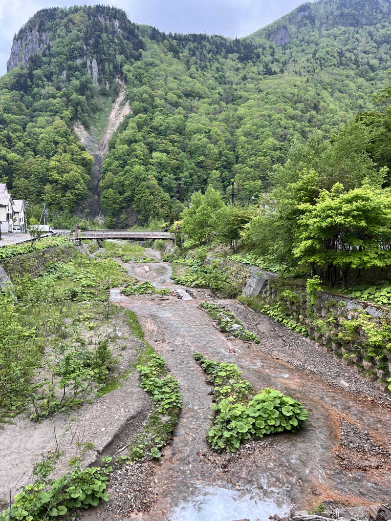 ぶる子さんの湯元 銀泉閣のサ活写真