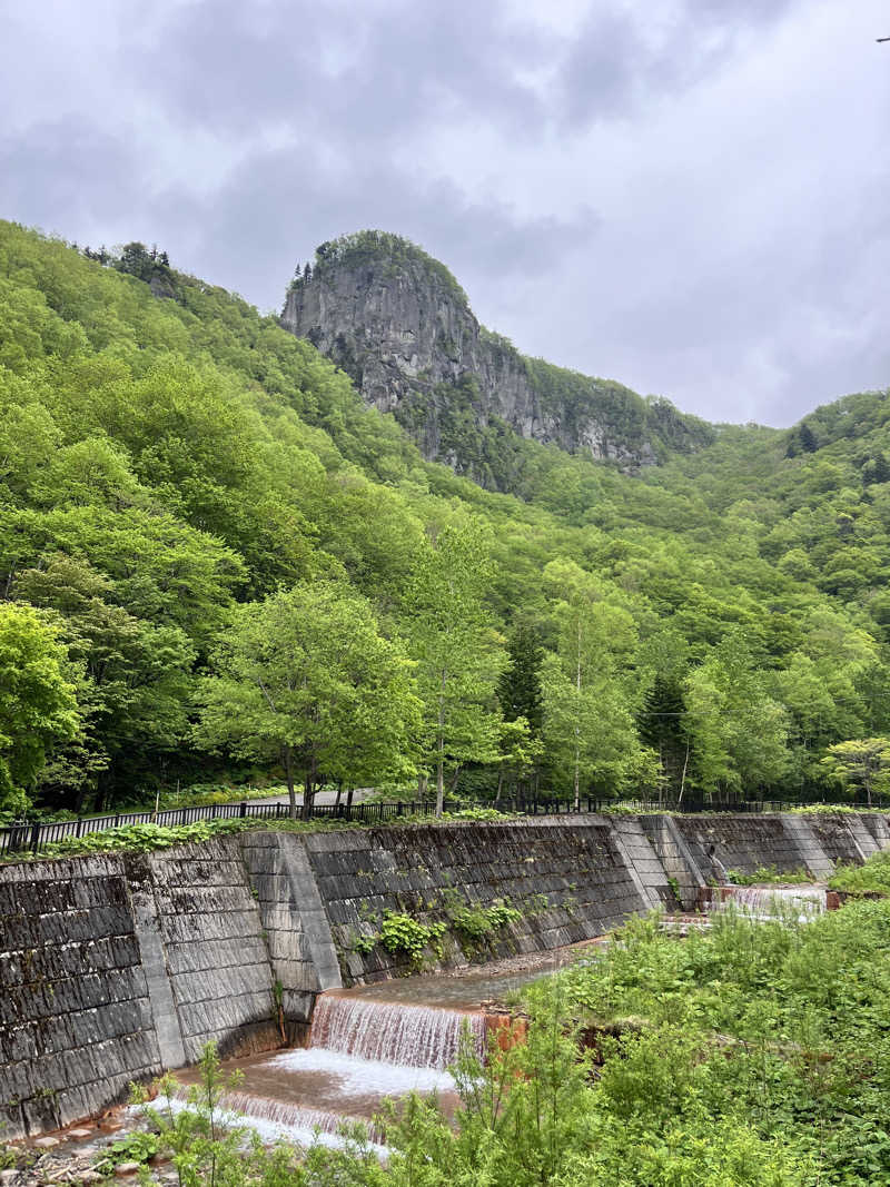 ぶる子さんの湯元 銀泉閣のサ活写真