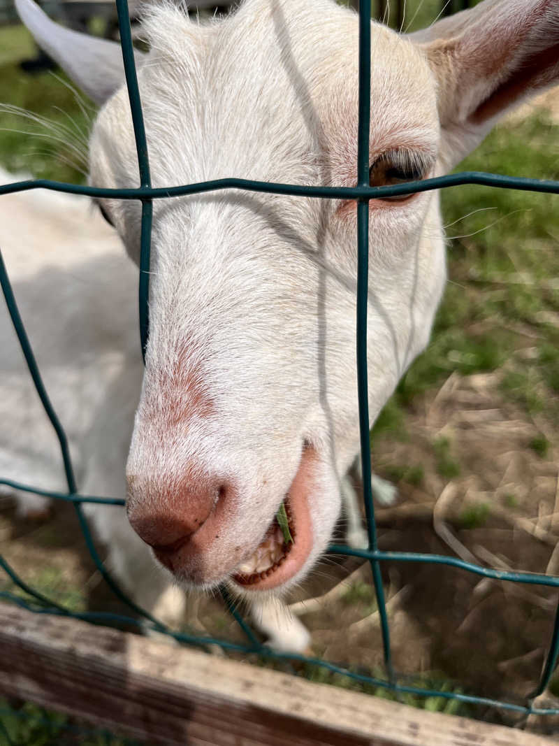 ぶる子さんのハイランド ふらののサ活写真