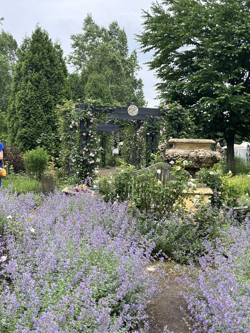 ぶる子さんの湯の郷 絢ほのかのサ活写真
