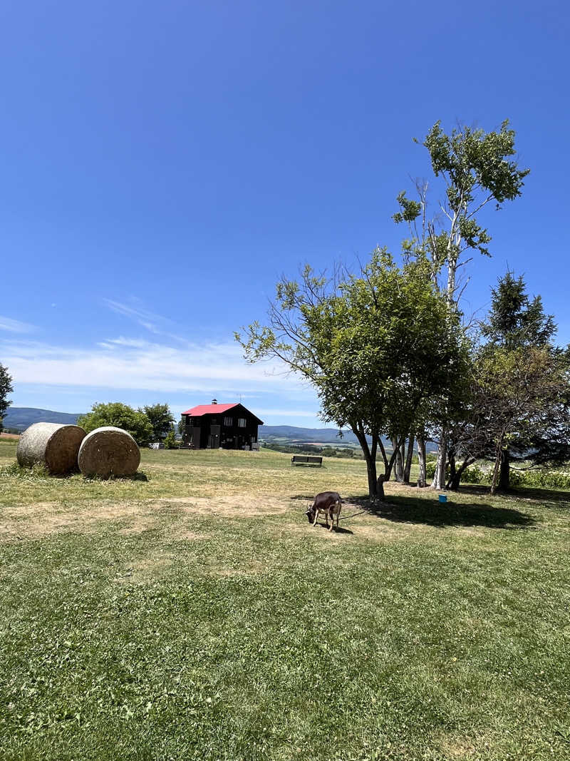 ぶる子さんの森の旅亭びえいのサ活写真