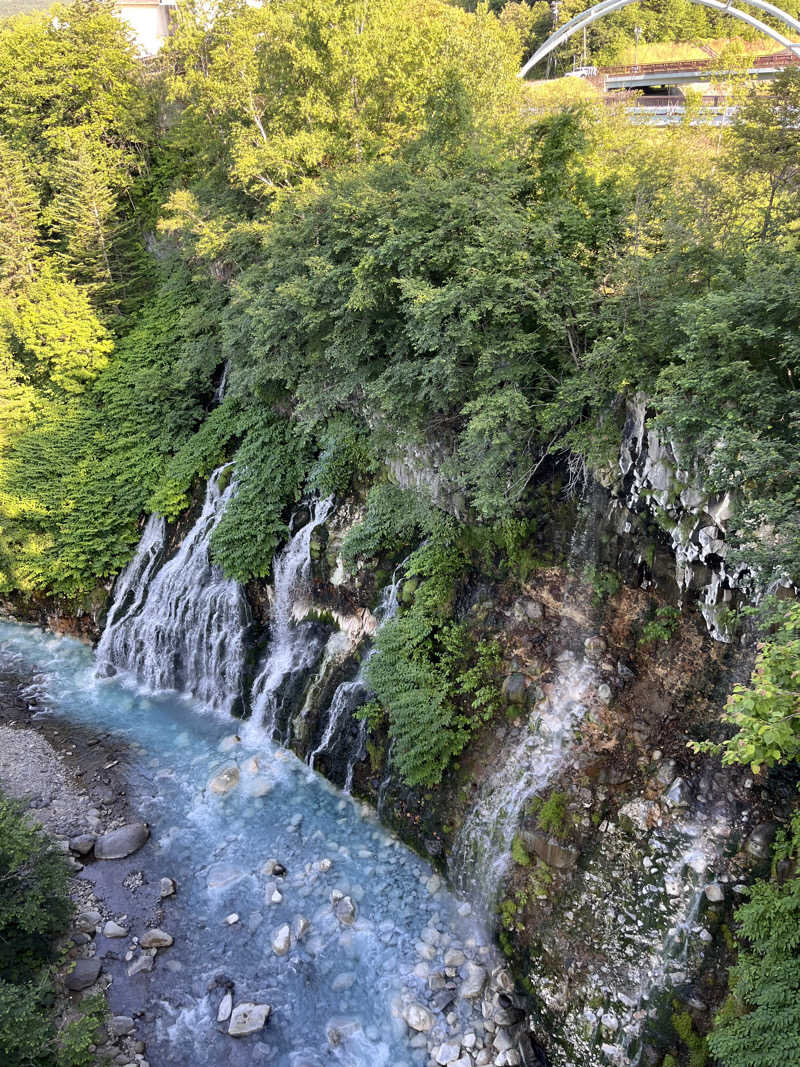 ぶる子さんの森の旅亭びえいのサ活写真