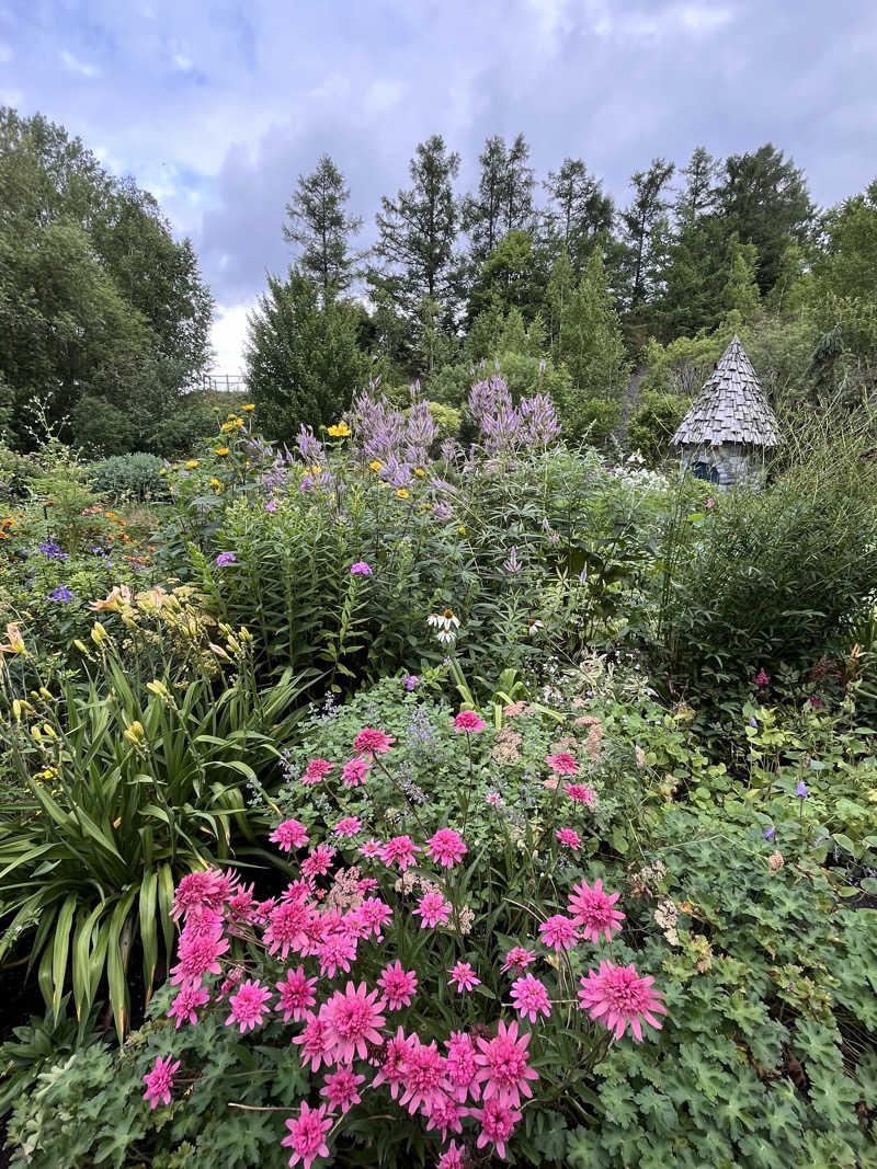 ぶる子さんの杜のSPA神楽のサ活写真
