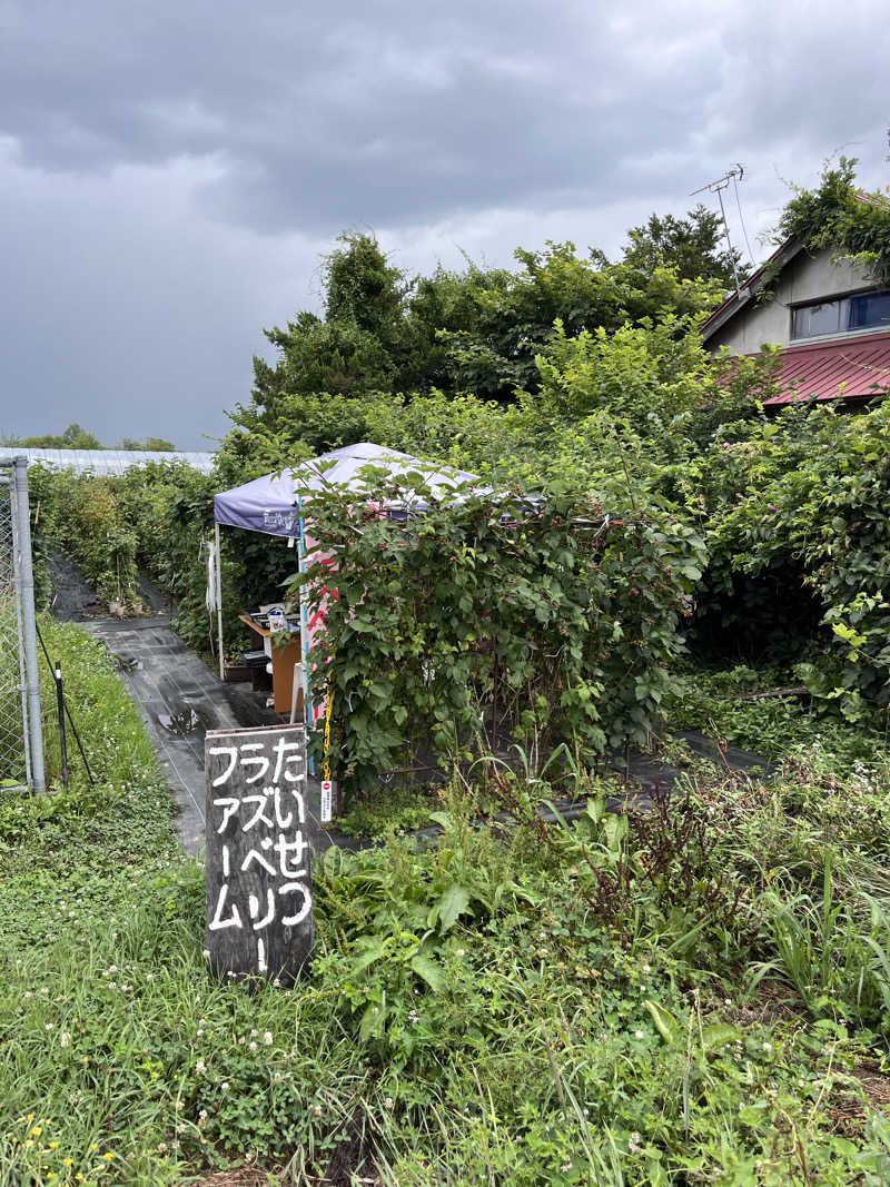 ぶる子さんの杜のSPA神楽のサ活写真