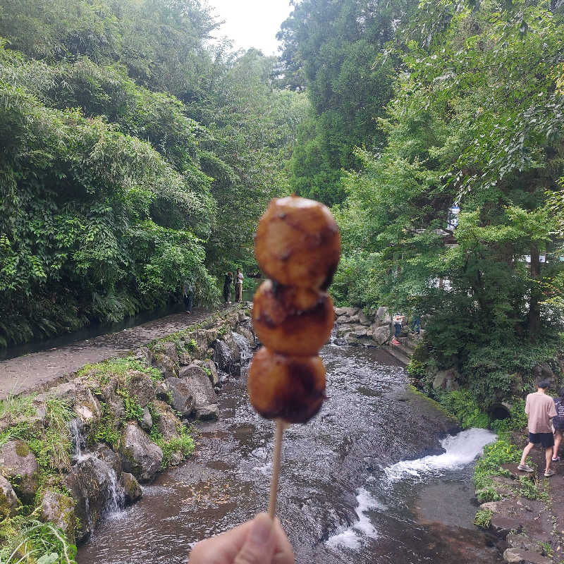 えいちゃんさんの南阿蘇 久木野温泉 四季の森のサ活写真