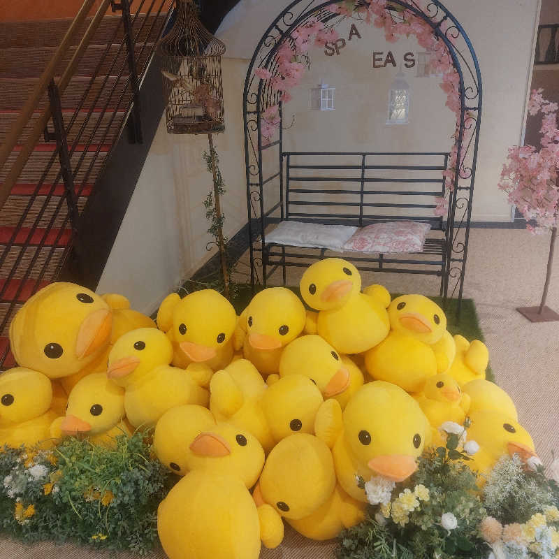 えいちゃんさんの横浜天然温泉 SPA EASのサ活写真